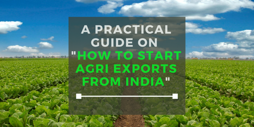 A Practical Guide on How to Start Agri Exports From India