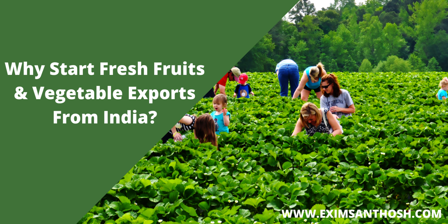 How to Start Fresh Fruits & Vegetables Exports From India Exim Santhosh